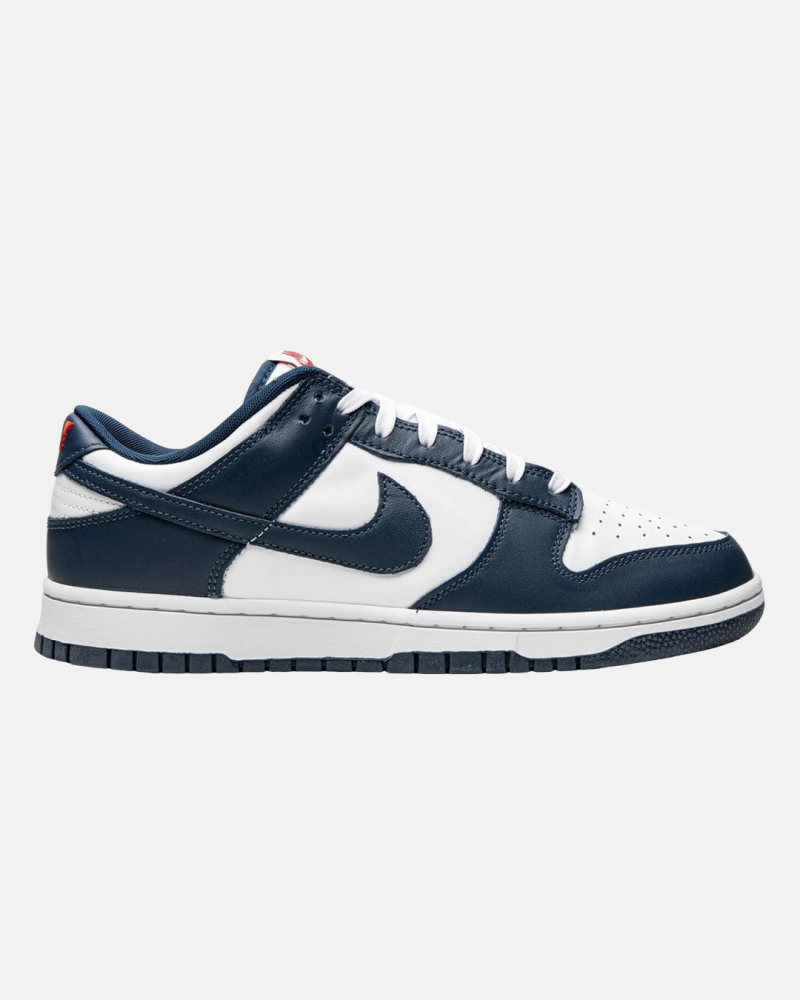 Nike Dunk Low Retro "Valerian Blue" 